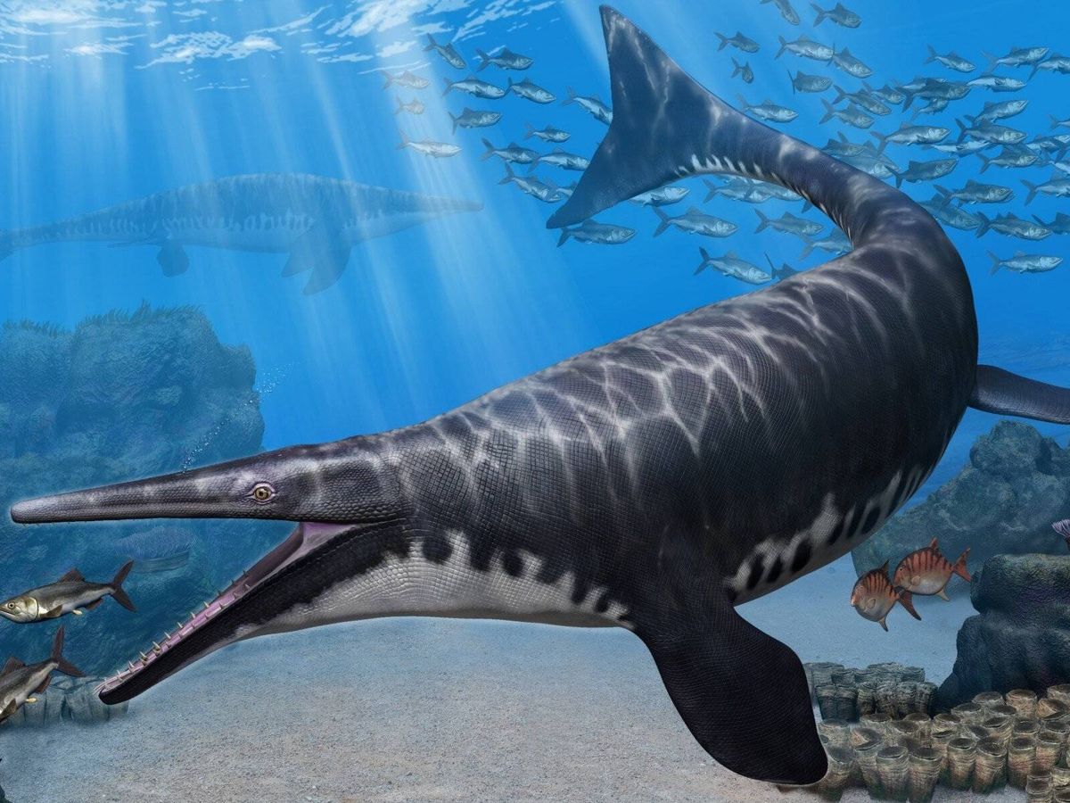 Hallan uno de los depredadores marinos prehistóricos más feroces de la  historia
