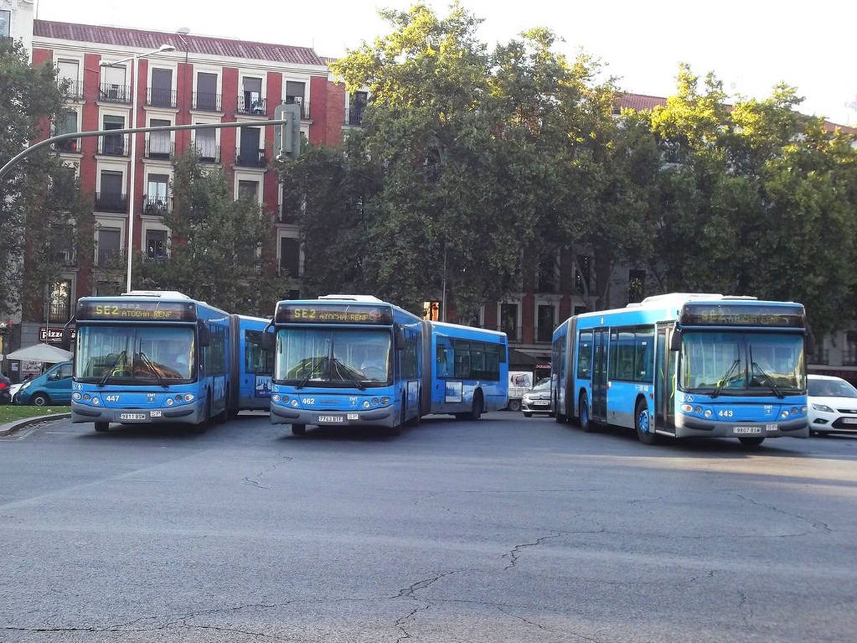Foto: Autobuses de la EMT.
