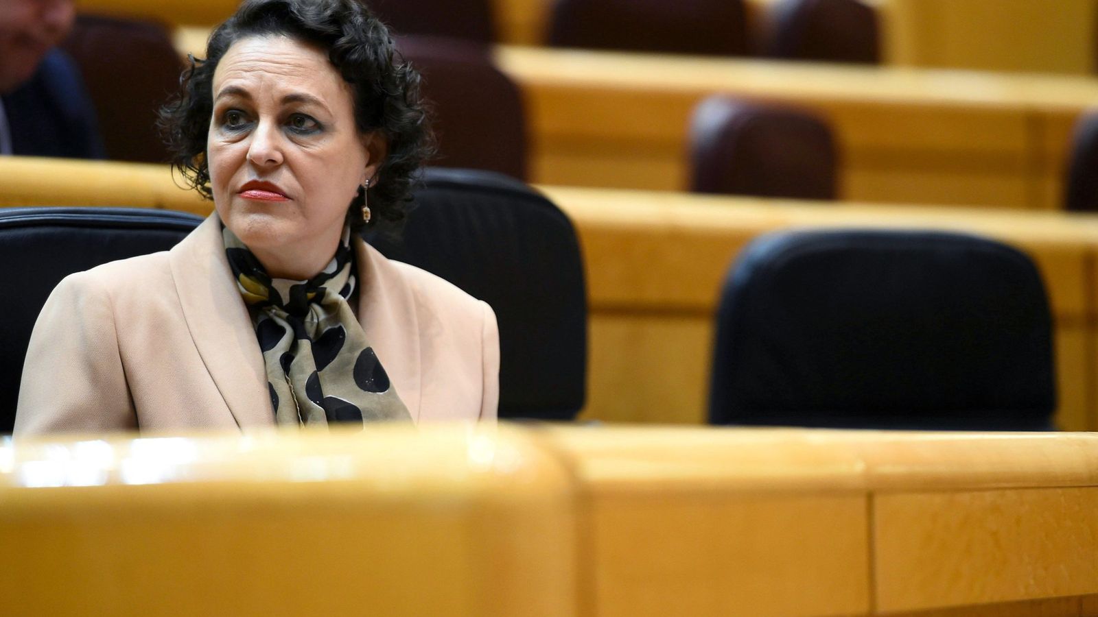 Foto: La ministra de Trabajo, Magdalena Valerio, en el Senado. (EFE)