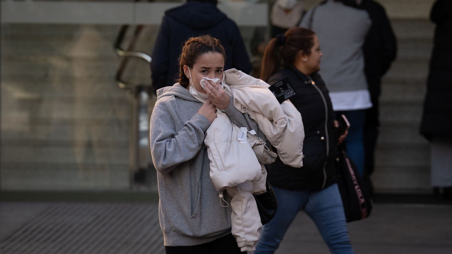 Síntomas de gripe. (Europa Press)