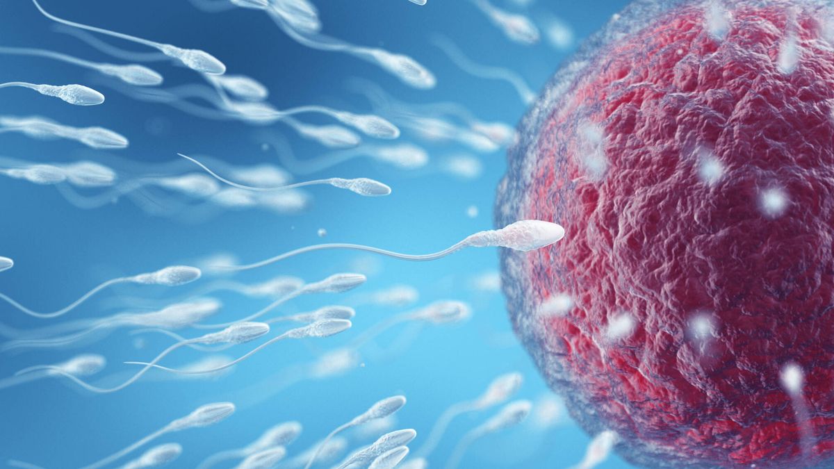 La calidad del esperma cae en picado y, con ella, la salud masculina