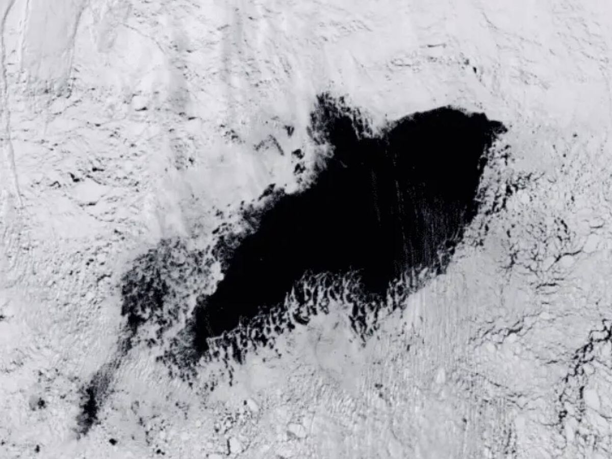 NASA identifica abertura de gelo do tamanho de Portugal na Antártida Oriental