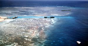 La Gran Barrera de Coral se convierte en una ‘autopista ilegal’ de mercancías peligrosas