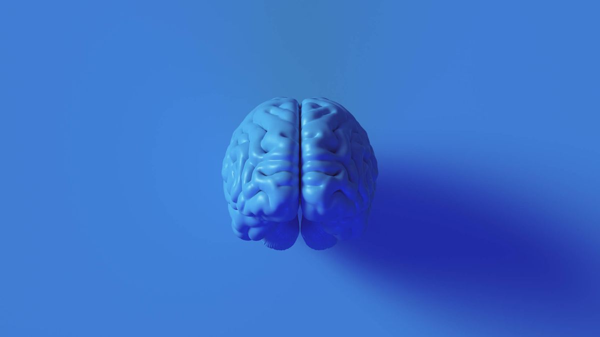 Por qué cada vez tenemos los cerebros más grandes (y cómo afectará a nuestras habilidades cognitivas)