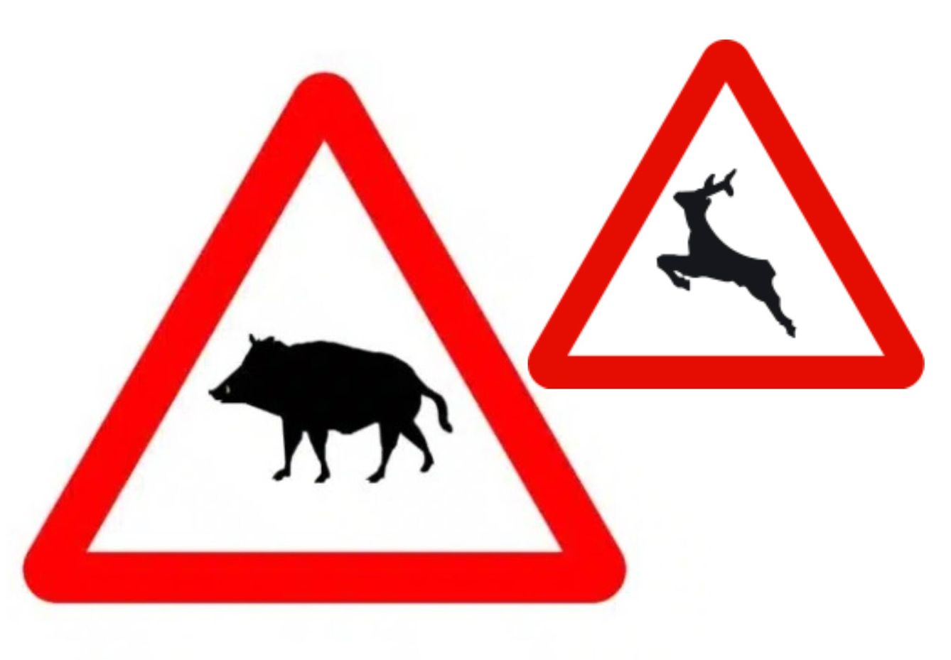 Hasta ahora se usaba la silueta de un ciervo o de una vaca, en la nueva señal se usará la silueta de un jabalí (señal P-24). 