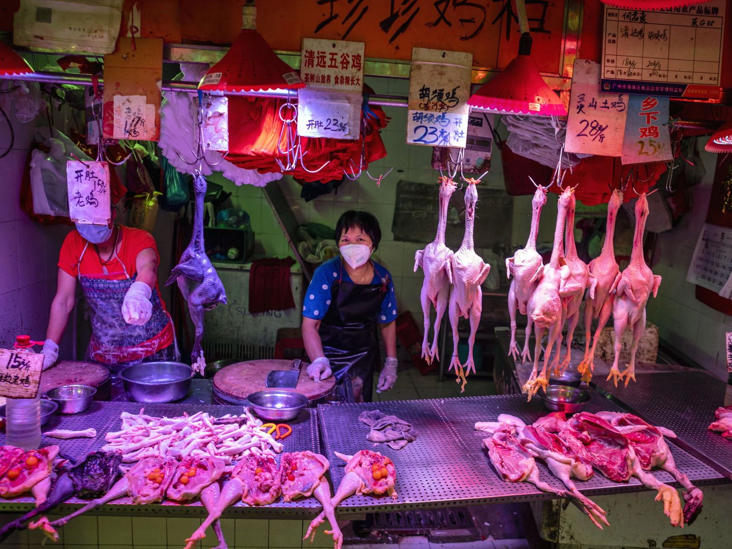 Mercado húmedo en Guangzhou. (EFE/EPA/ Alex Plavevski)