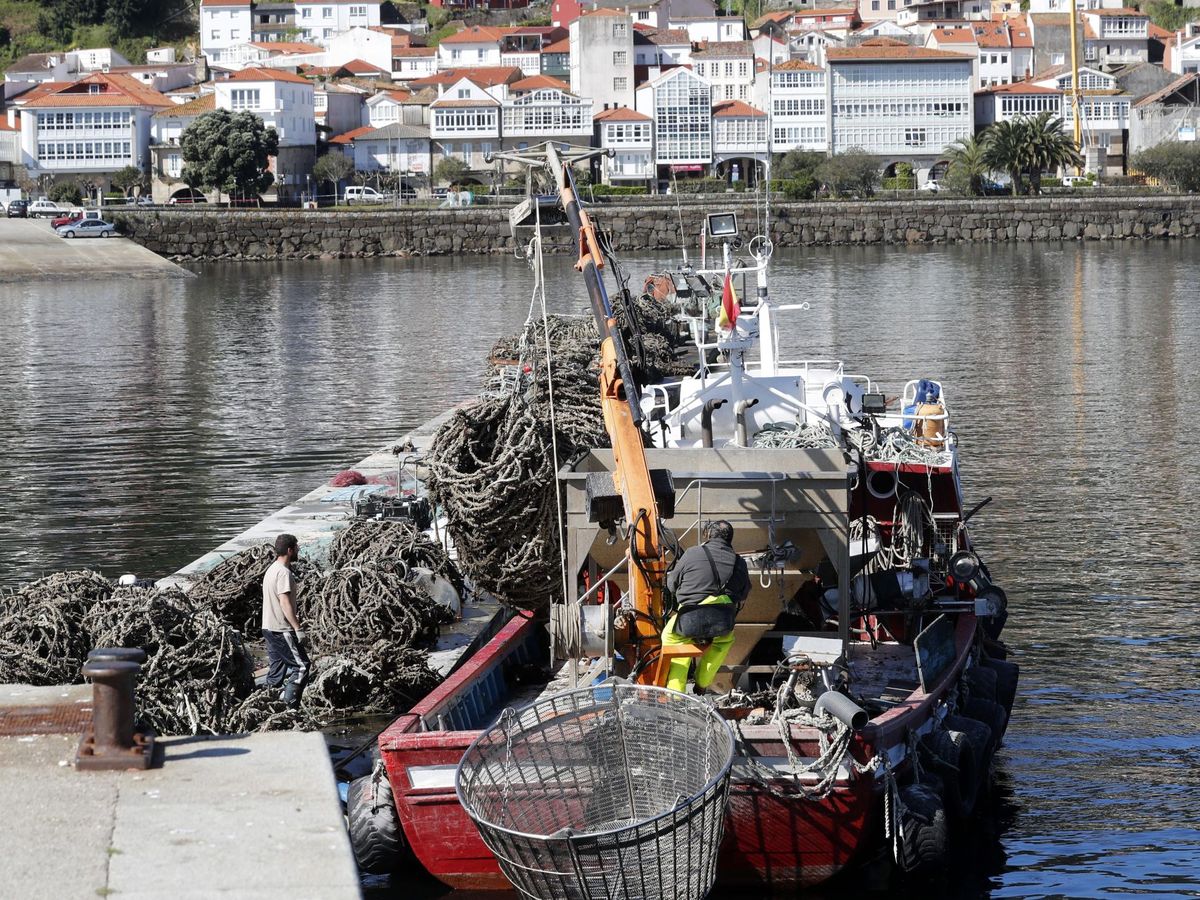 Foto: Un barco pesquero faena en el municipio coruñés de Muros. (EFE)