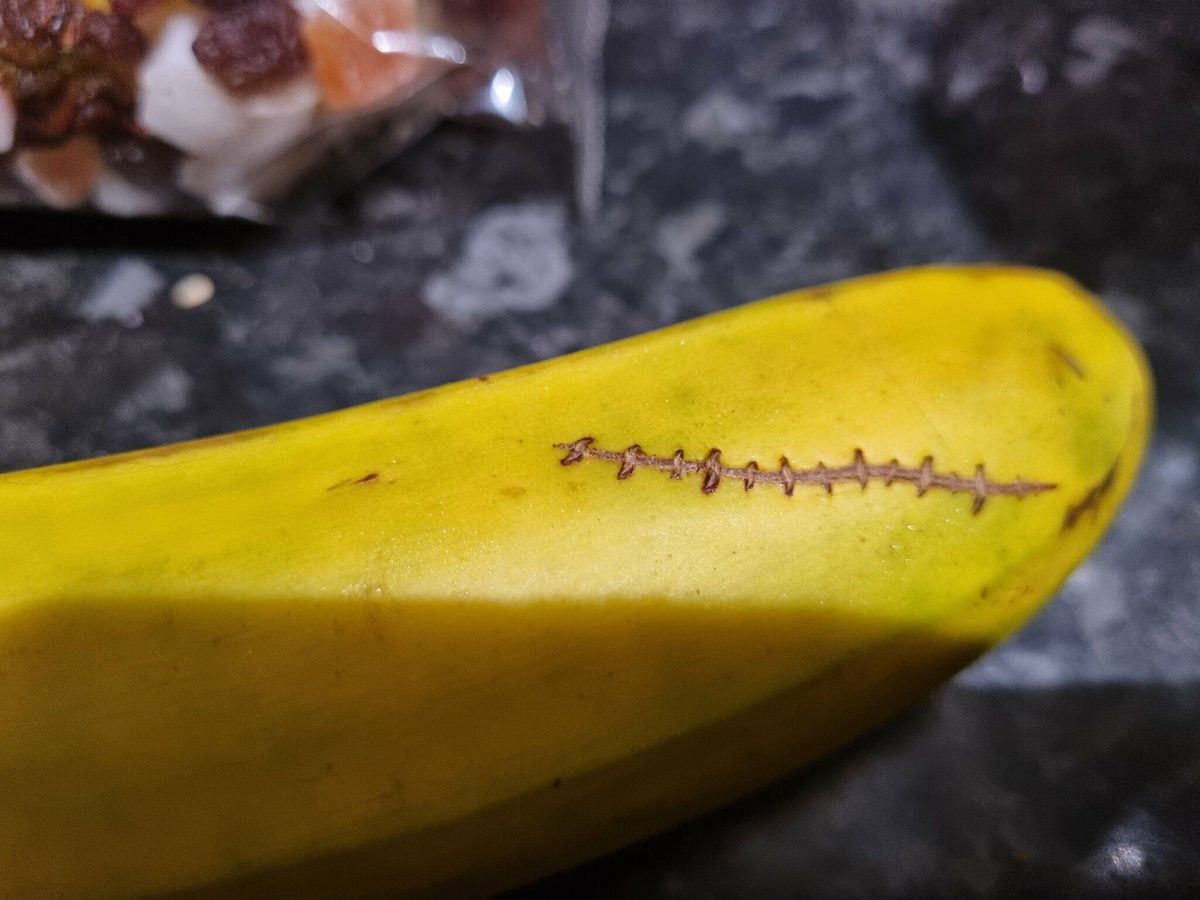 Foto: Encuentra esta extraña cicatriz en un plátano de Canarias y se disparan las teorías (X/@GessamiMtnez)