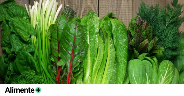 www.alimente.elconfidencial.com