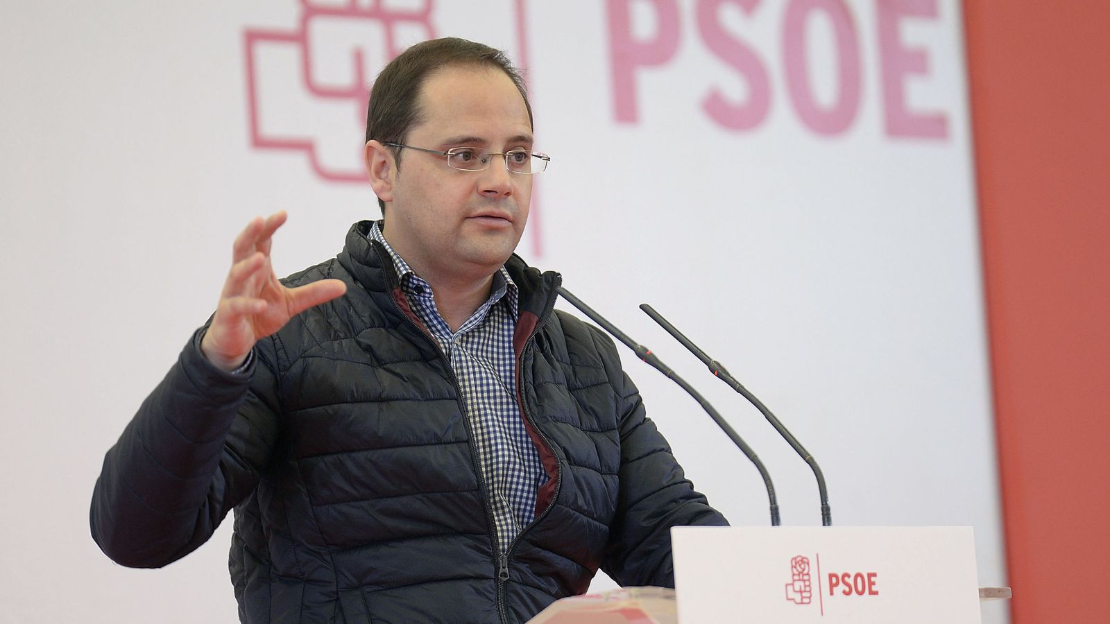 Foto: El secretario de organización del PSOE, César Luena. (EFE)