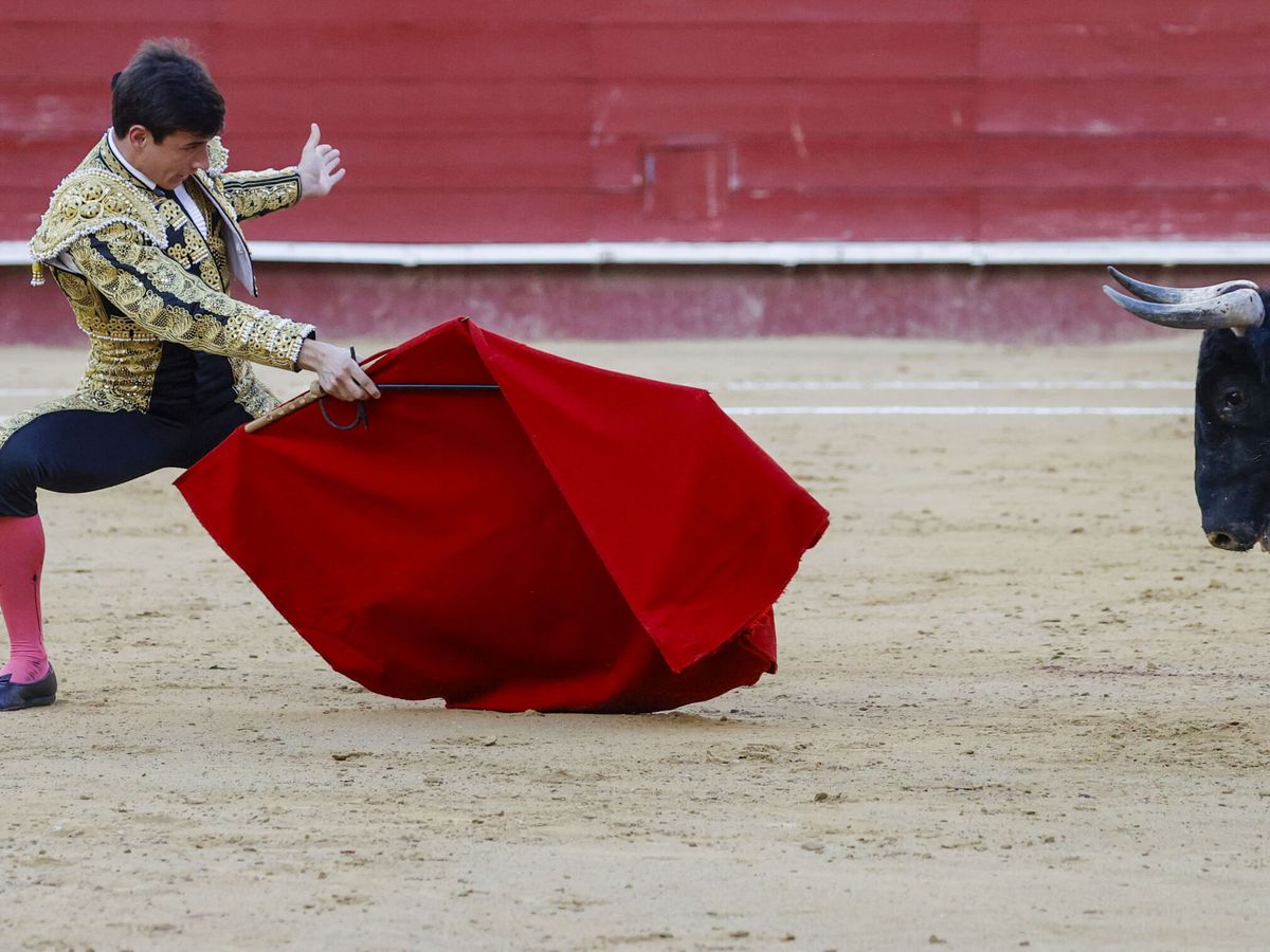 Foto: Corrida de toros mixta en Valencia. (EFE/Kai Forsterling)