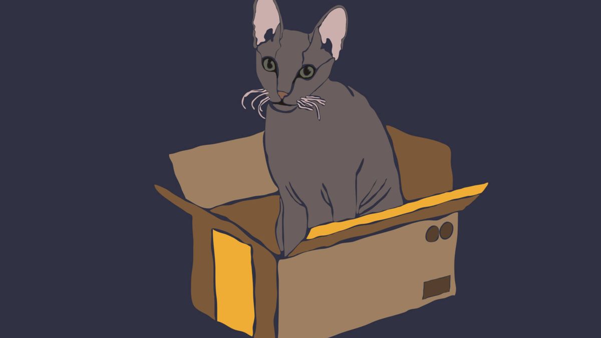 La historia del gato de Schrödinger es más compleja de lo que nos habían contado