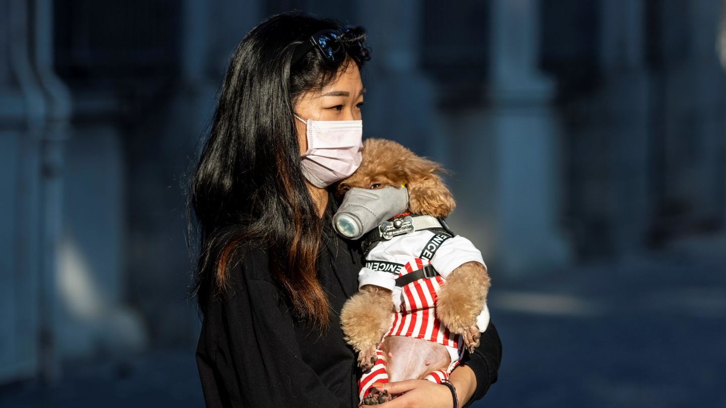 Una mujer camina junto a su perro en China. (EFE)