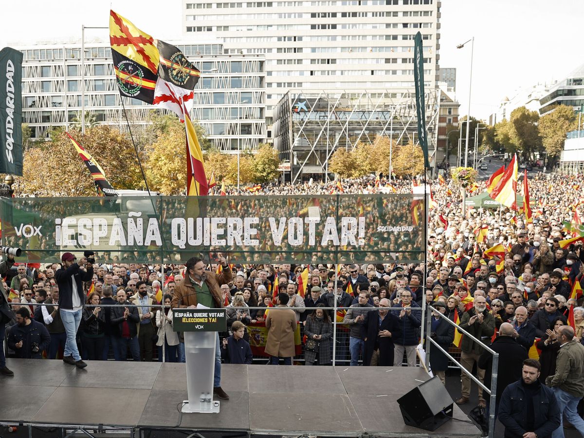 Foto: Abascal, durante la manifestación de hoy en Madrid. (EFE/Sergio Pérez)