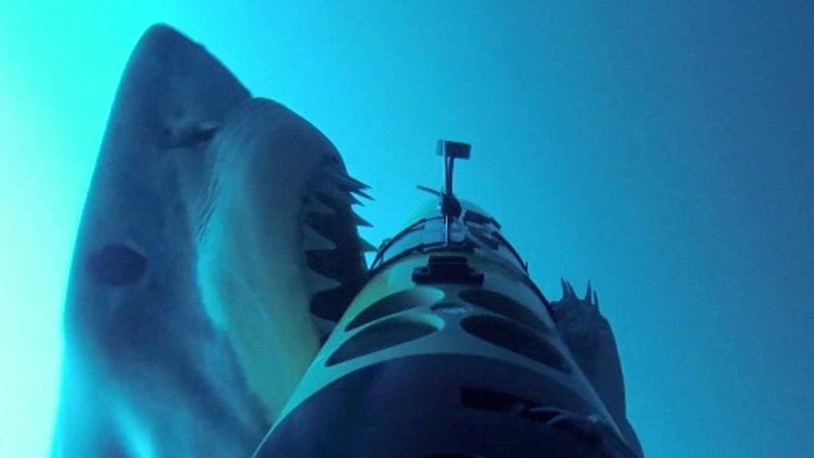 Foto: Un tiburón blanco ataca uno de los vehículos submarinos. / Oceanographic Systems Lab/Woods Hole Oceanographic Institution