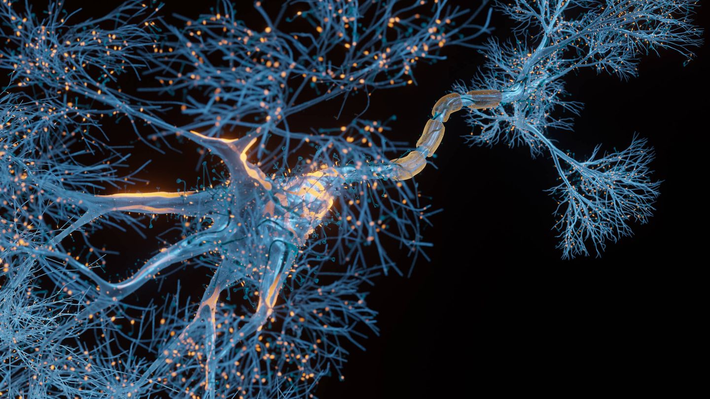 Neurona. (iStock)