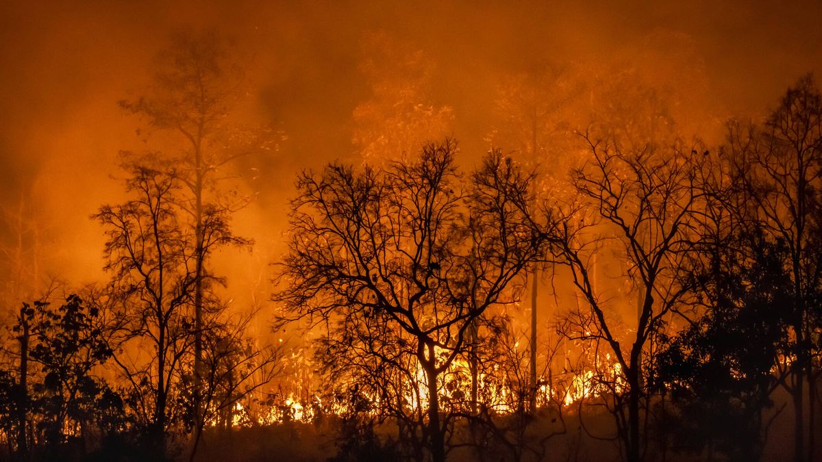 Sudamérica registra una "intensidad récord" de incendios en lo que va de año