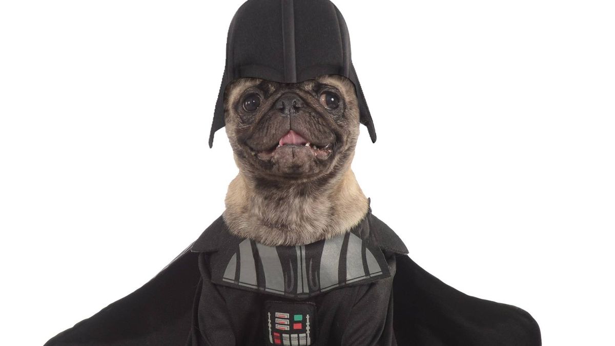 Maquillaje, drones y disfraces para perros: el otro imperio Star Wars  