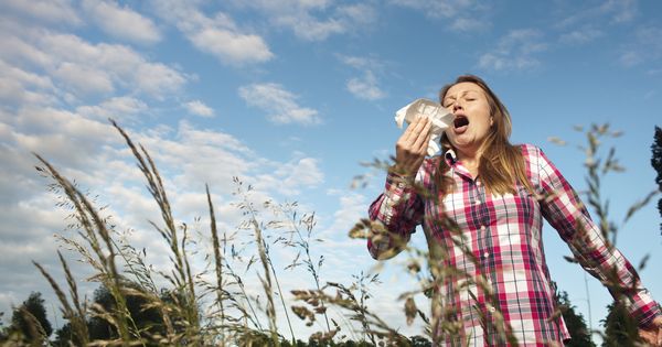 Foto: ¿Influye en nuestra alergia el lugar en que vivimos? (Corbis)
