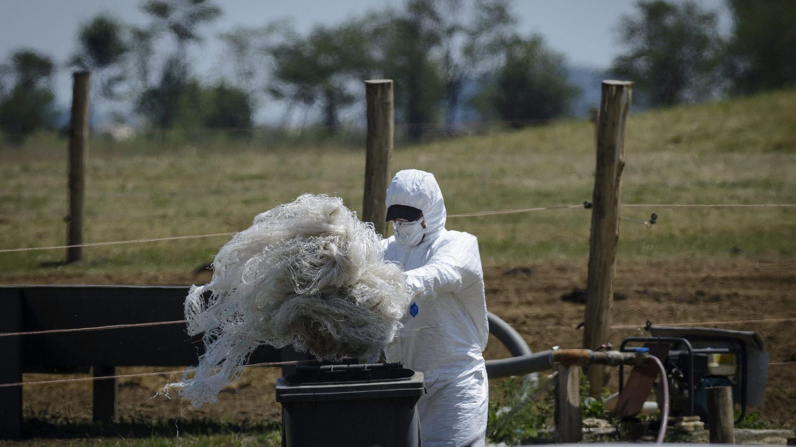 Foto: Un experto manipula material en la granja húngara donde se detectaron casos de ántrax en 2014 (EFE)