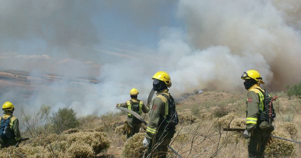 Foto: Bomberos forestales trabajando en un incendio (Efe)