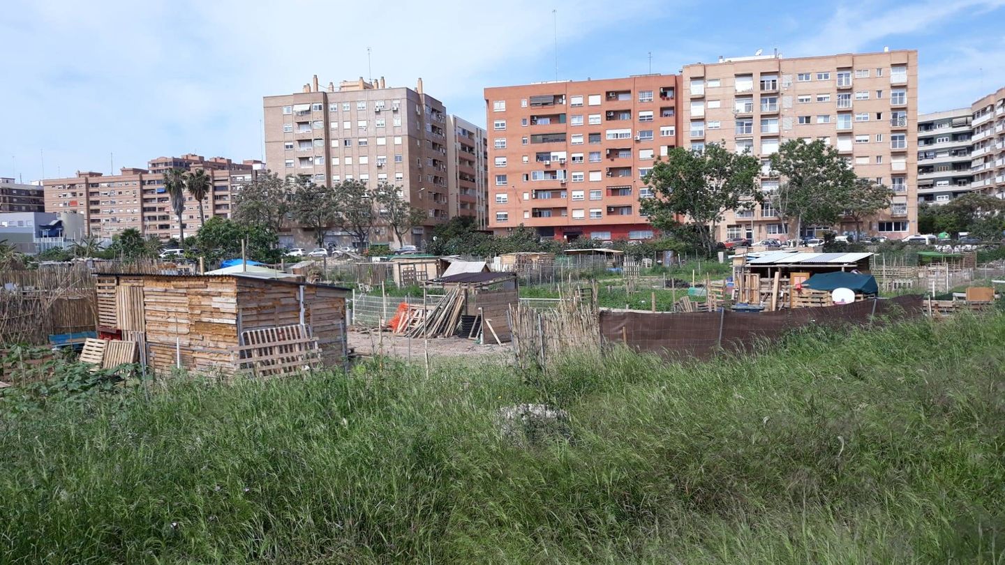 Parcelas ocupadas por huertos y construcciones de palés y maderas en el barrio de Benimaclet de Valencia.