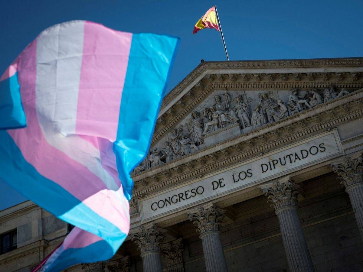 Foto: Una bandera del colectivo trans en la puerta del Congreso de los Diputados. (EFE/Luca Piergiovanni)