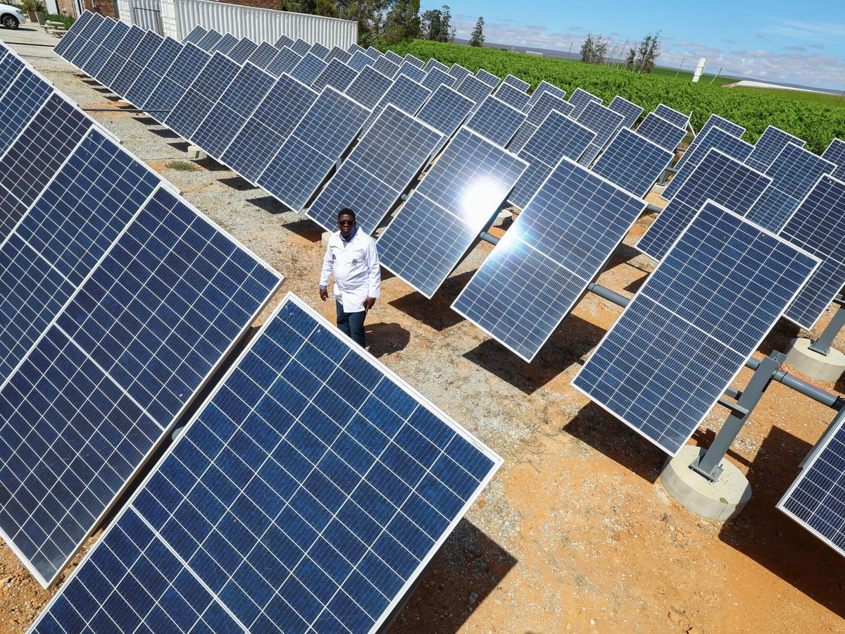 Foto: Paneles solares. (REUTERS/Esa Alexander)