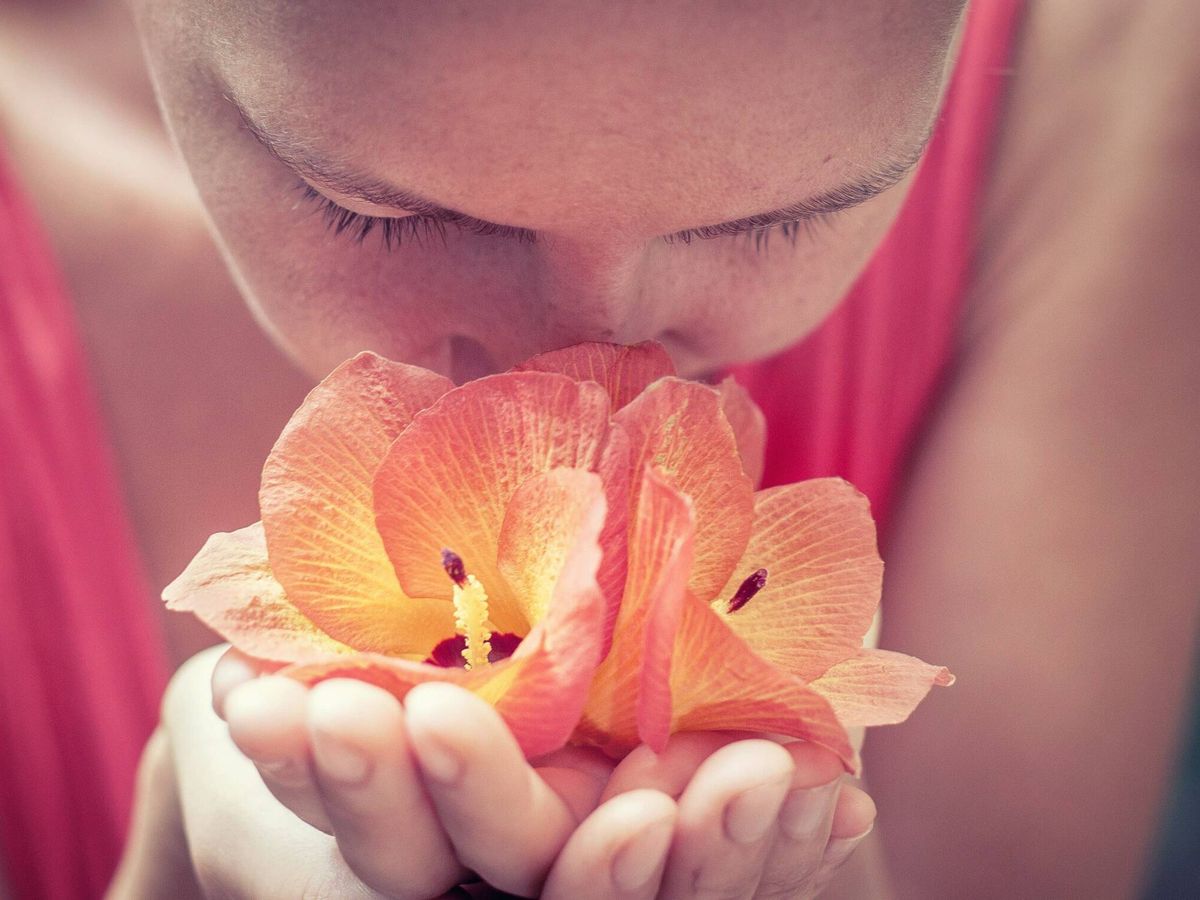 Foto: Los aromas influyen en nuestro estado de ánimo. (Unsplash/Ruslan Zh)