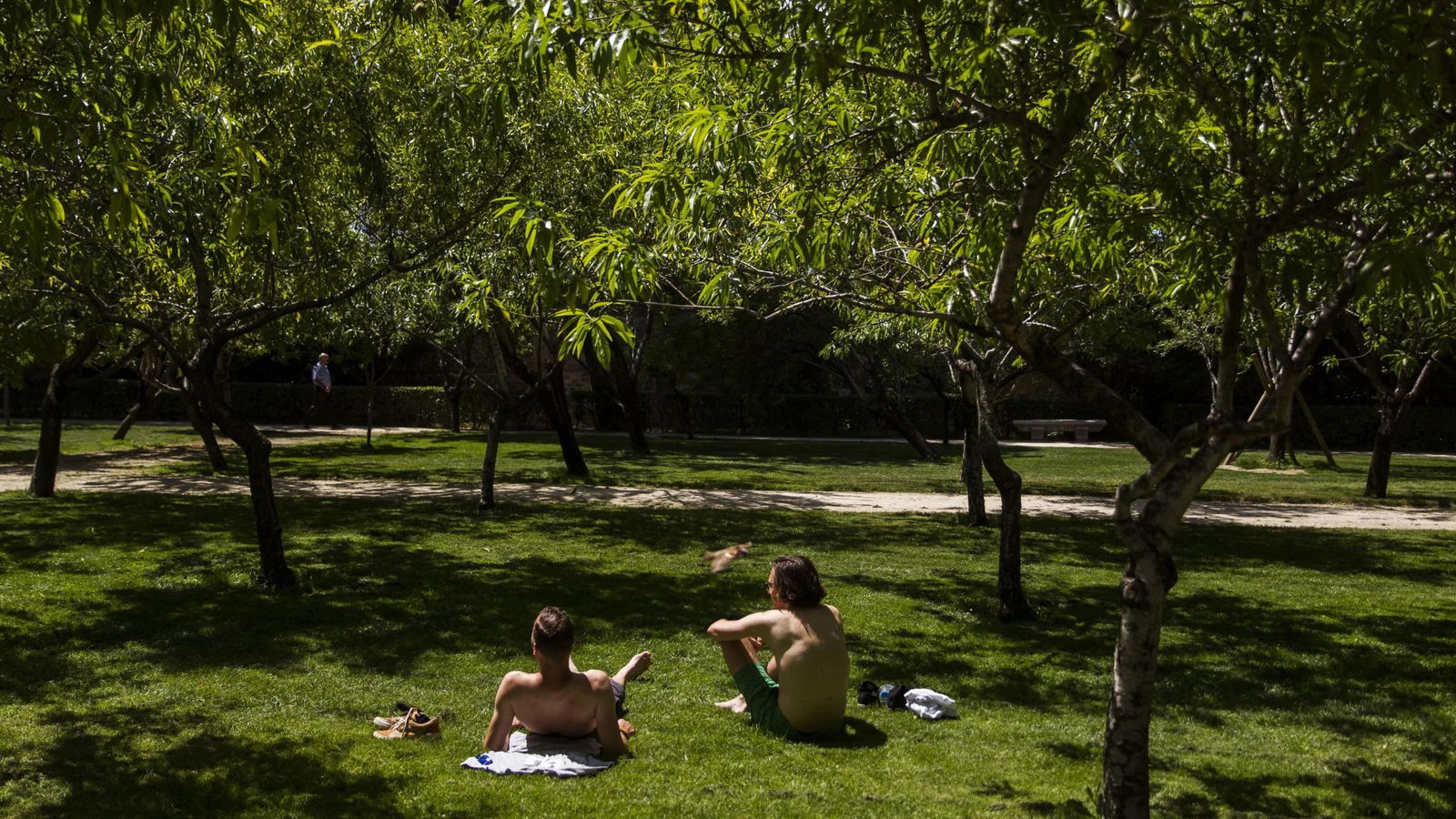 Foto: Dos jóvenes aprovechan el buen tiempo para tomar el sol en el Parque del Retiro de Madrid. (EFE)