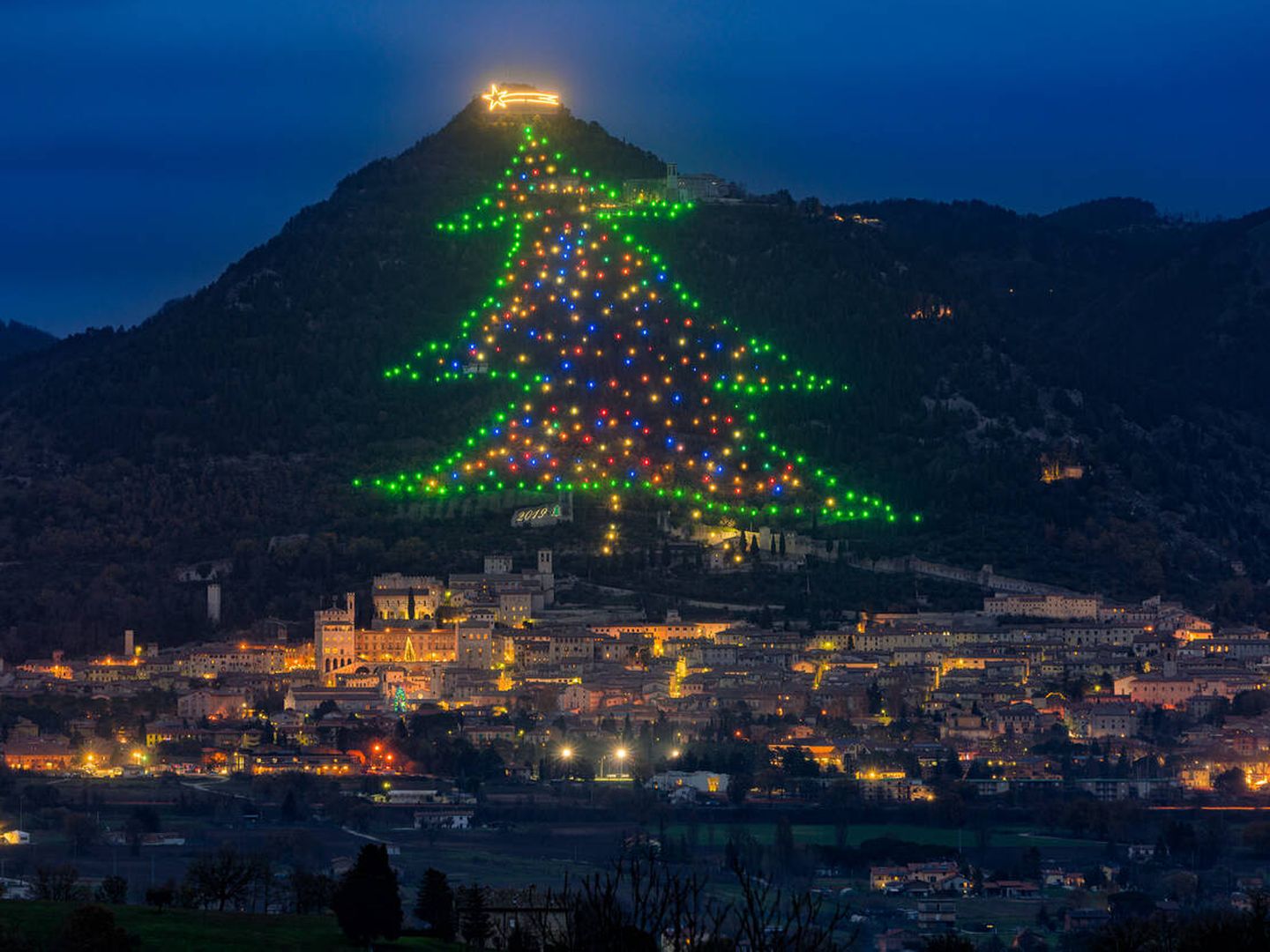 El árbol de Navidad más grande del mundo (iStock)