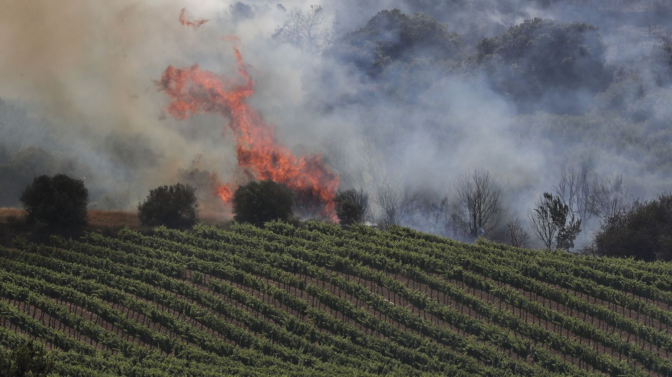 Foto: Vista del incendio en la localidad de San Martín de Unx, Navarra. (EFE/ Villar López) 