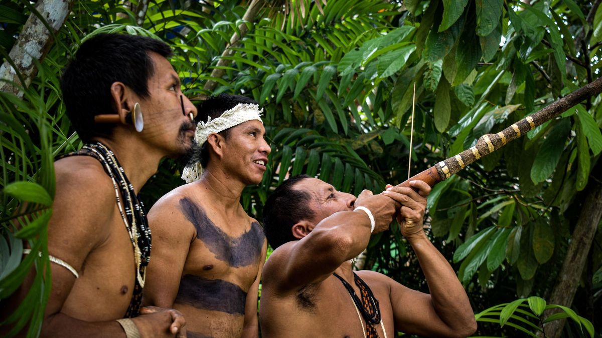 Muere el 'Indio del Hoyo', el último indígena aislado en la selva amazónica de Brasil