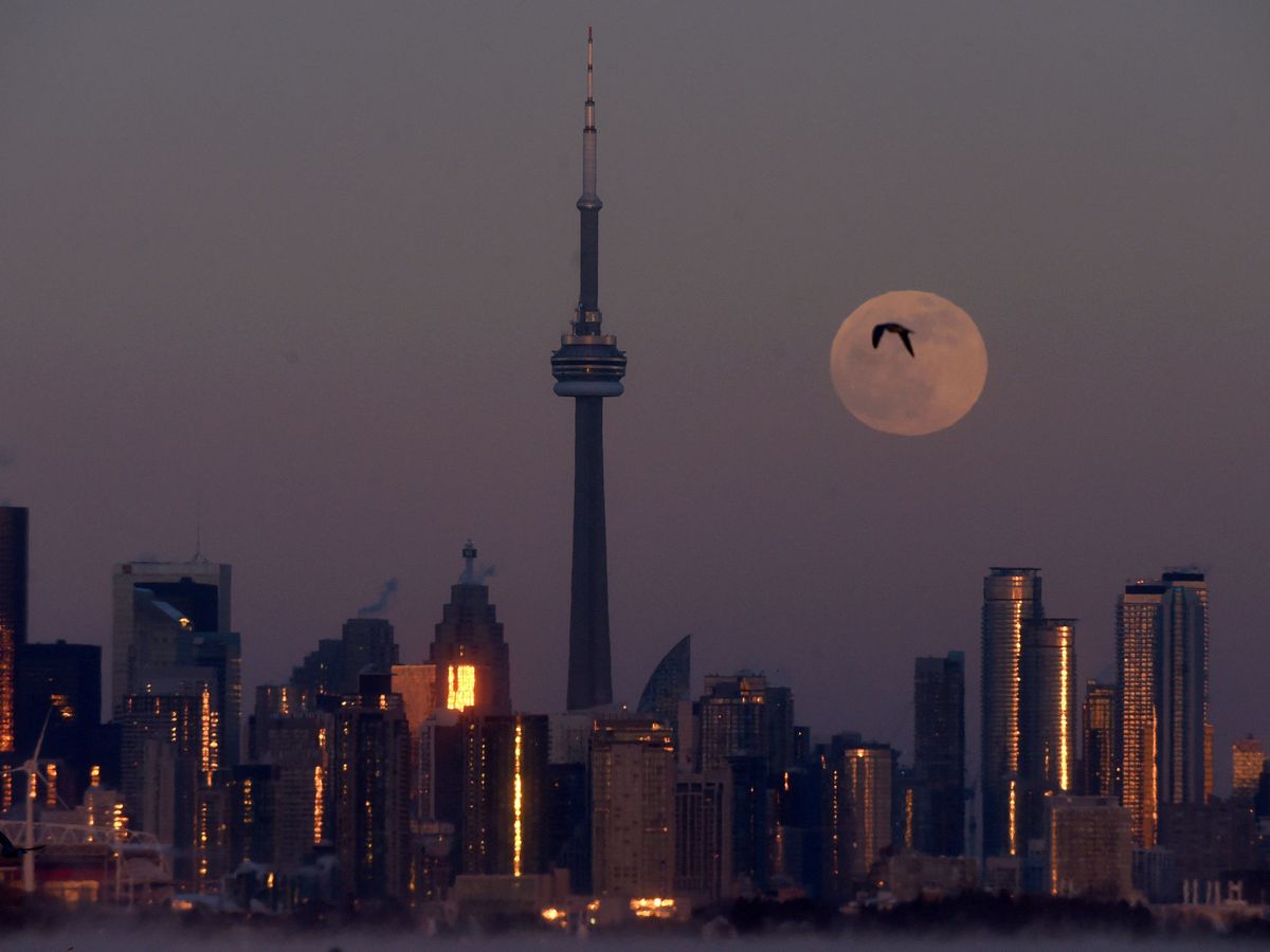 Foto: Distrito financiero de Toronto. (USA Today/Dan Hamilton)