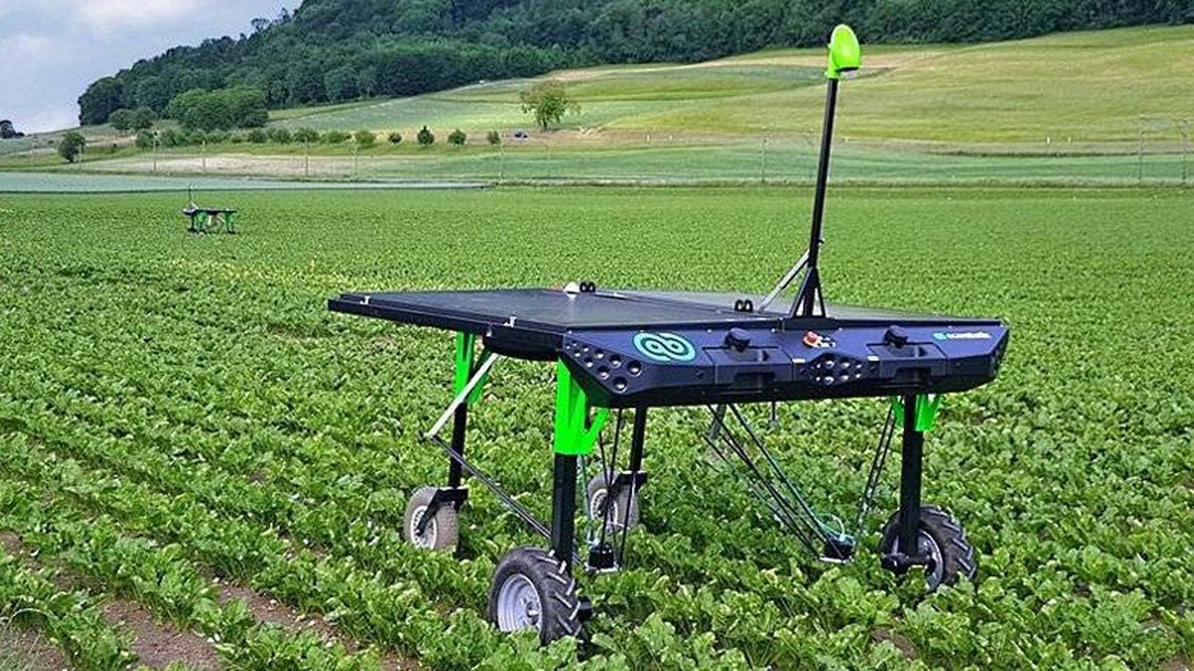 Ии в сельском хозяйстве. ECOROBOTIX. Робот для прополки грядок. Роботы в сельском хозяйстве. Робот для борьбы с сорняками.
