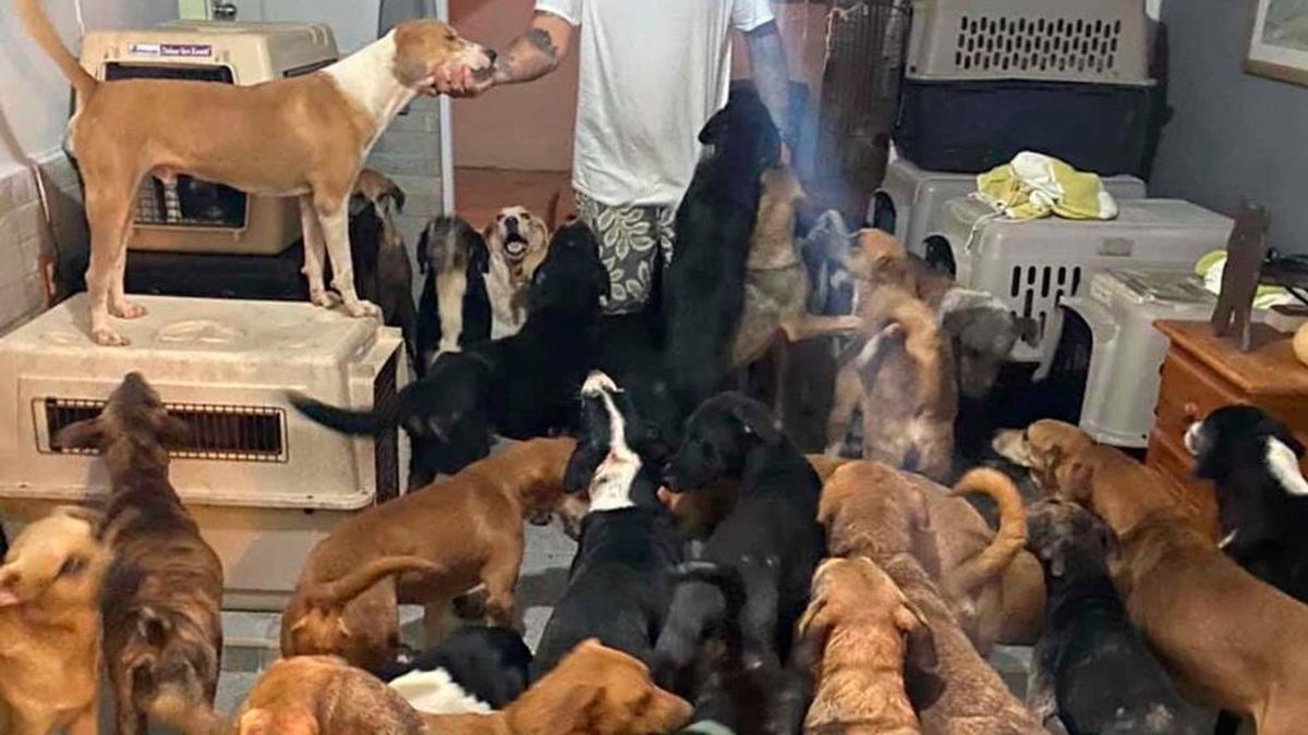 Este hombre mete a 300 animales en su casa para protegerlos de un huracán