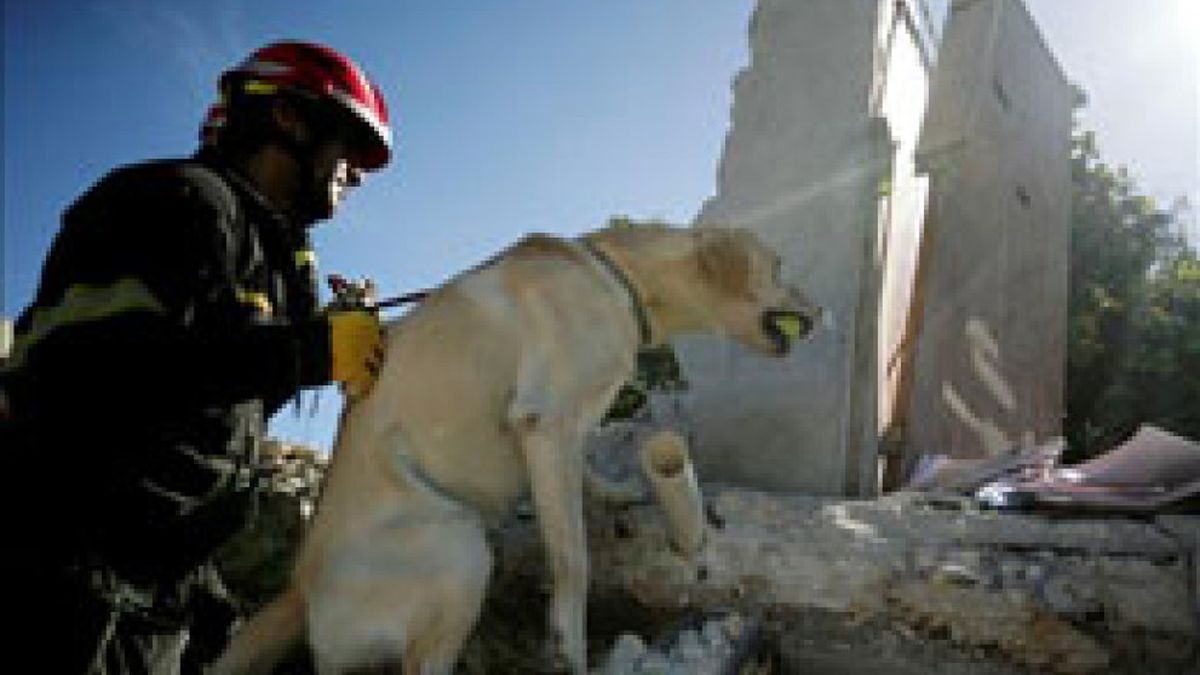 España anuncia una donación de 5 millones de euros para los servicios públicos de Haití