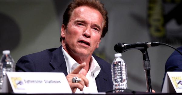 Foto: Arnold Schwarzenegger (Flickr)