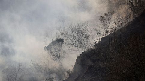 El humo de los incendios forestales actúa como uno de los peores contaminantes