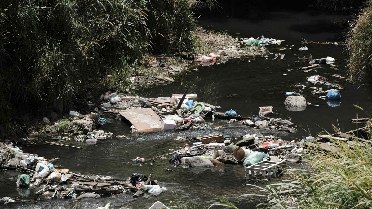 Libera convoca de nuevo a sus voluntarios para limpiar ríos y embalses