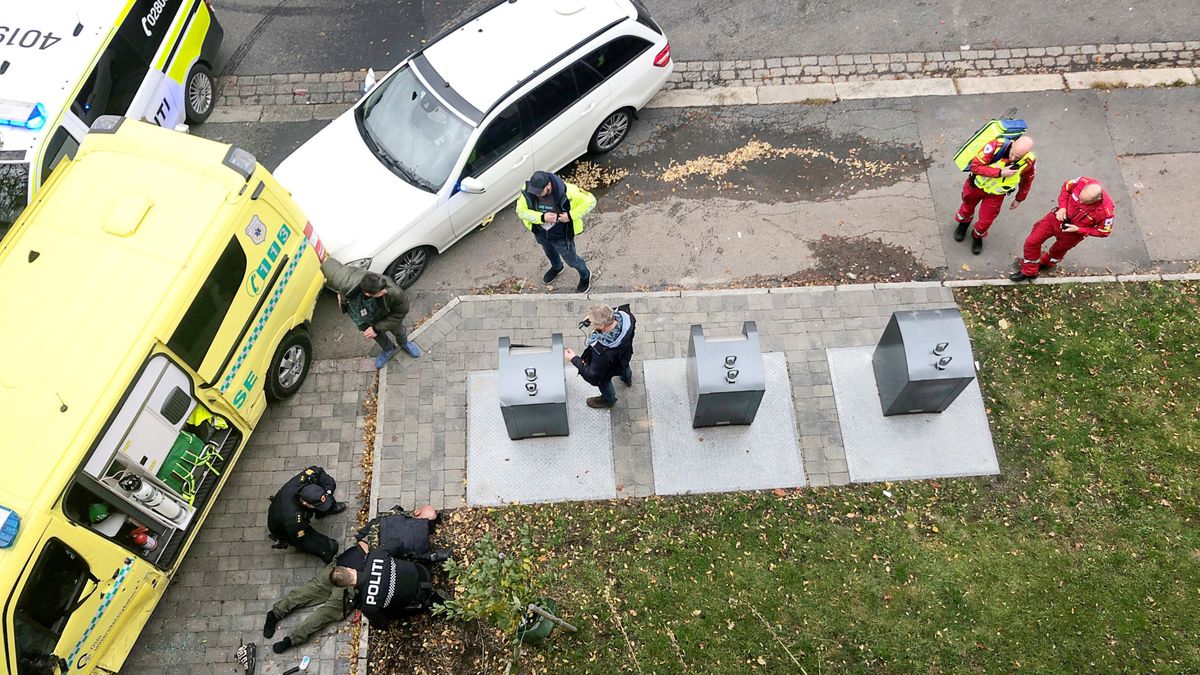 Dos detenidos por robar una ambulancia y atropellar a personas "al azar" en Oslo