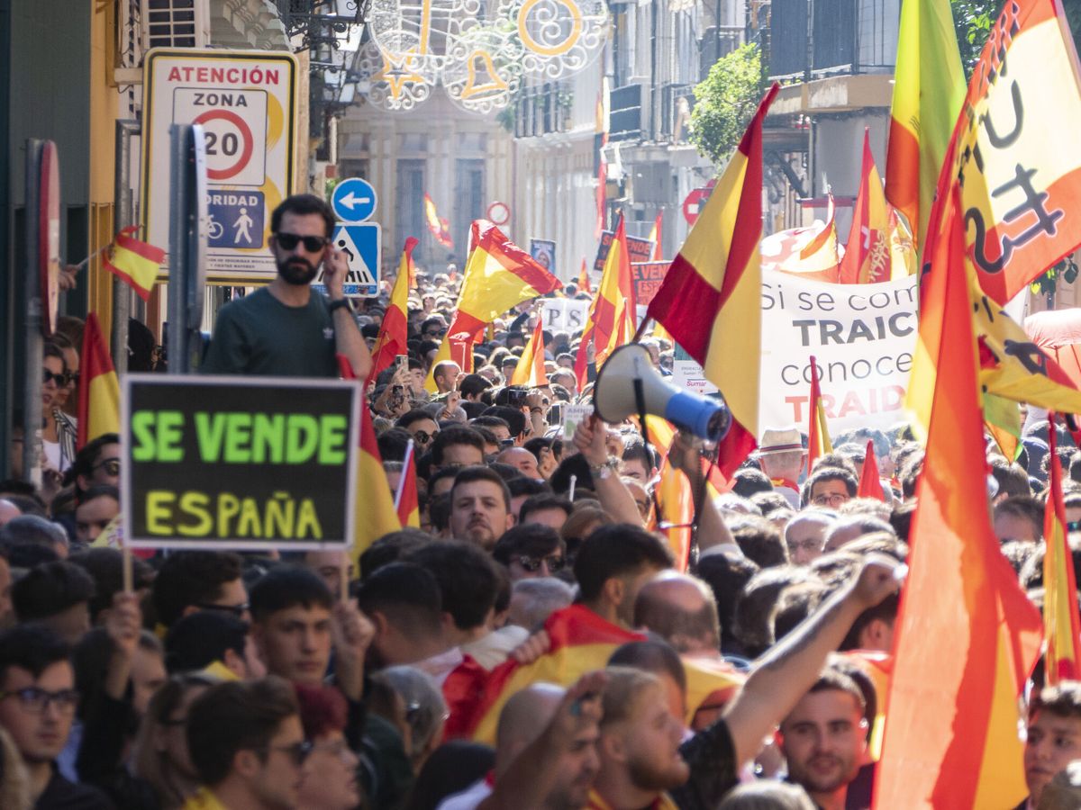 Foto: Centenares de personas, el domingo en la manifestación contra la amnistía de Sevilla. (EFE/David Arjona)