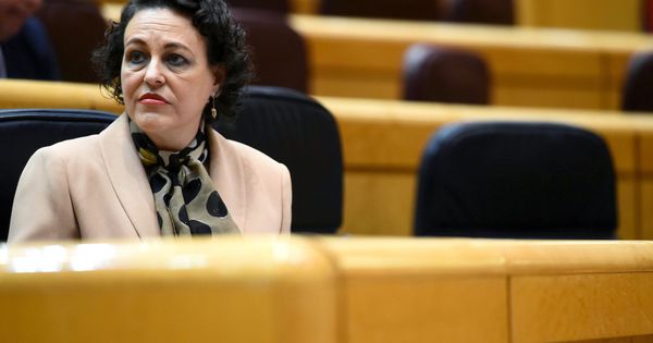 Foto: La ministra de Trabajo, Magdalena Valerio, en el Senado. (EFE)