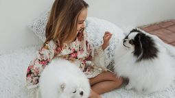 La solución para quienes viven con perros y gatos: estos rodillos permiten retirar los pelos de mascotas fácilmente