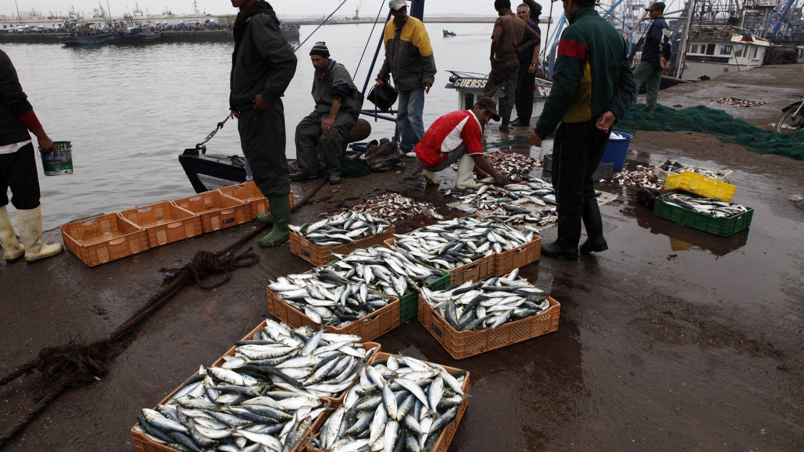 Foto: Pescadores marroquíes en Agadir, al sur de Marruecos. (Reuters)