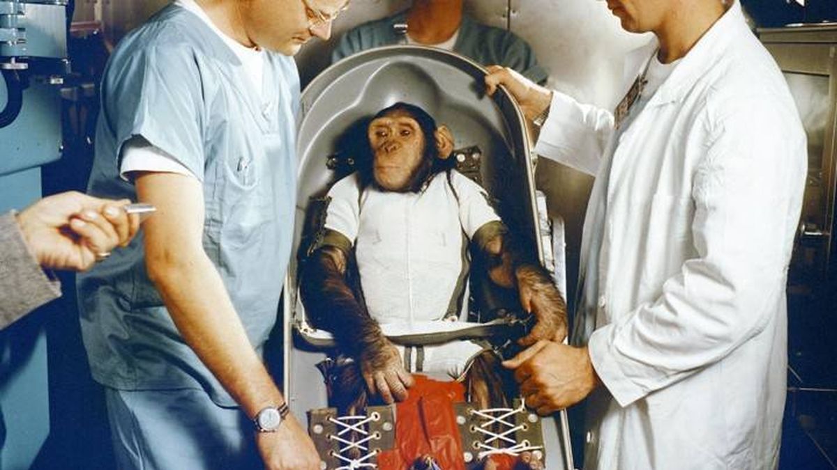 Por qué la URSS envió perros al espacio y Estados Unidos prefirió a los monos