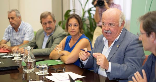 Foto: El consejero de Salud y Familias de la Junta de Andalucía, Jesús Aguirre (2d), junto a responsables de su departamento y especialistas en infecciosos. (EFE)