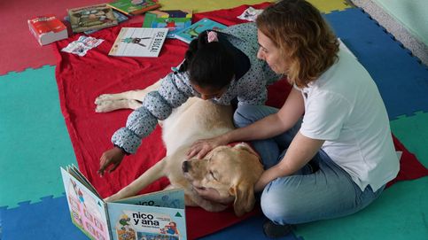 Ro-Ro, Bea y otros perros que ayudan a leer y socializar a niños de 50 colegios españoles