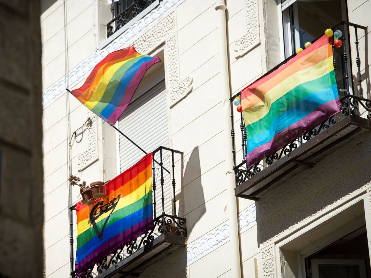 Foto: Banderas arcoíris en una fotografía de archivo. (EFE/Luca Piergiovanni)