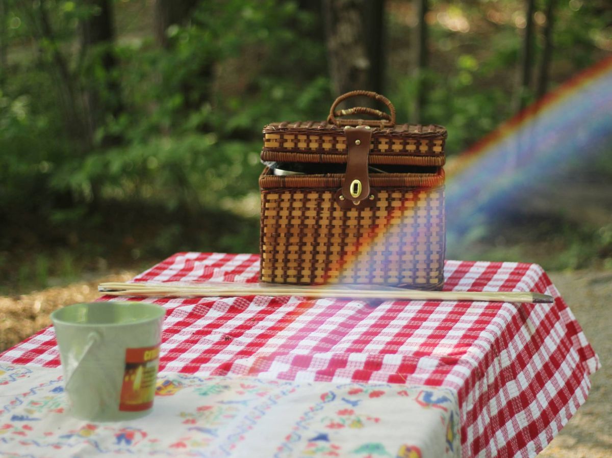 Foto: Tarde de pícnic. (Bonnie Kittle, para Unsplash)